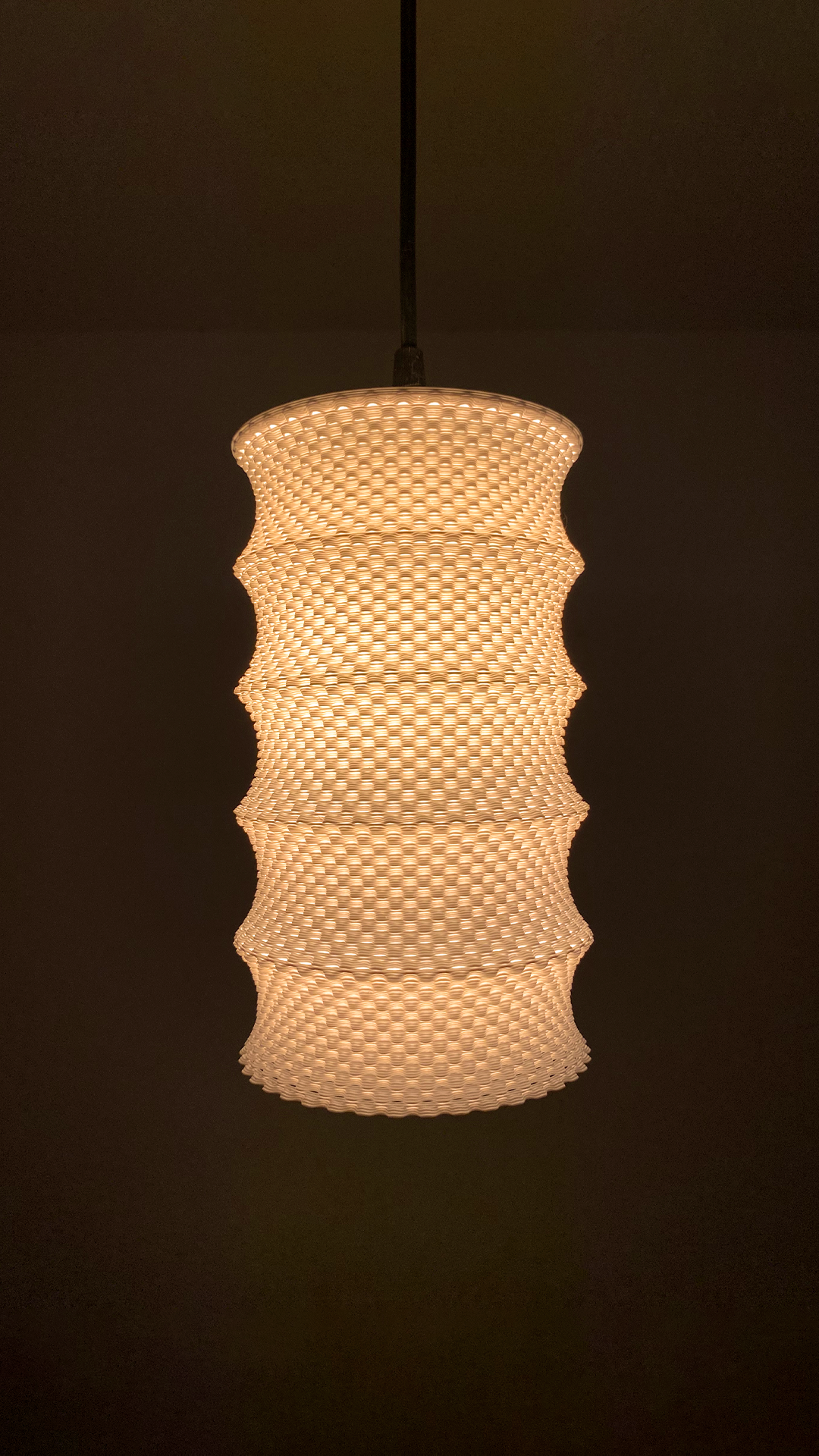 Leo Adaptive Lampshade