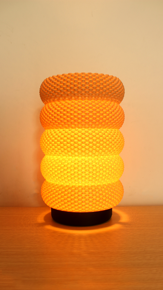 Delfina Adaptive Lampshade