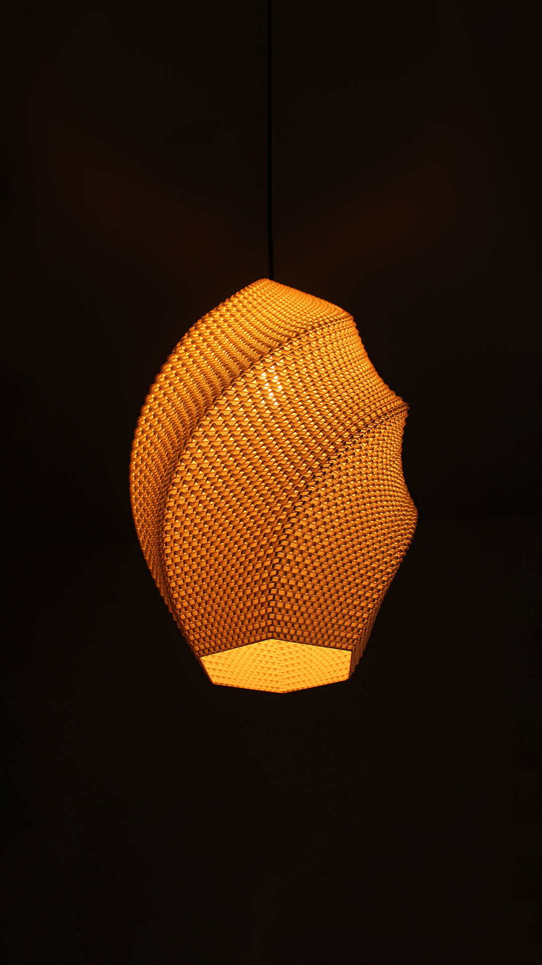 Josefina Adaptive Lampshade